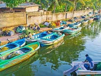 Hamilton Canal, Negombo, Sri Lanka