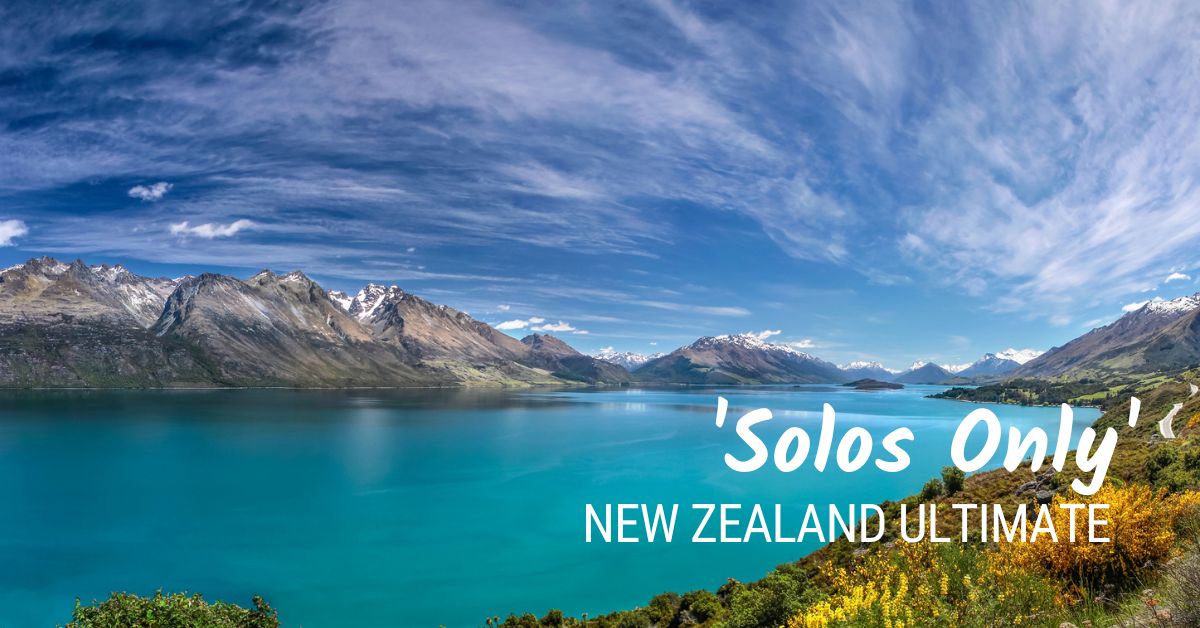 solo travellers nz